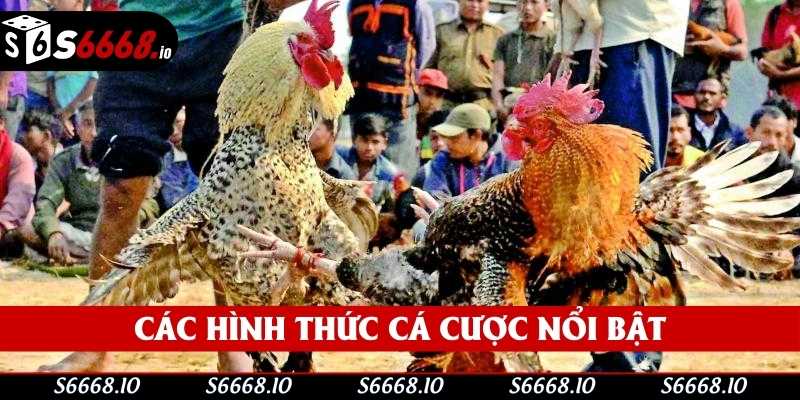 Các hình thức cá cược nổi bật Các hình thức cá cược nổi bật